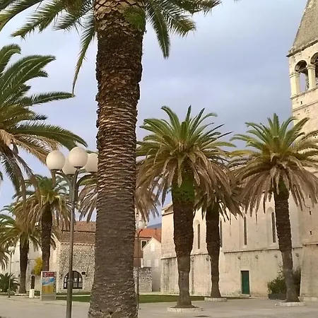 Kiwi * Trogir